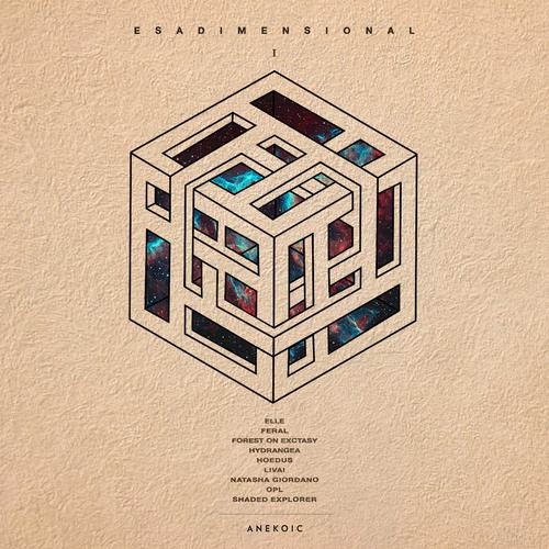 Various Artists - Esadimensional I
