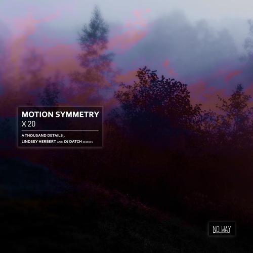 X 20 (Incl. A Thousand Details, Lindsey Herbert and Dj Datch Remixes)