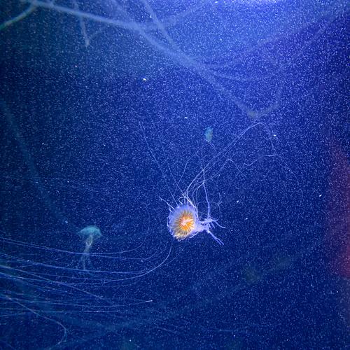 Entropy / Unravelling
