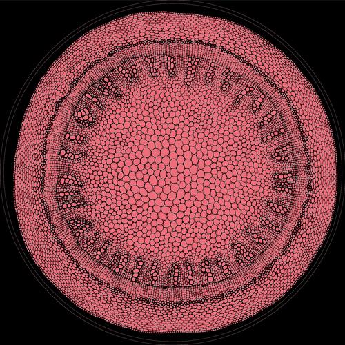 Various Artists vol.1