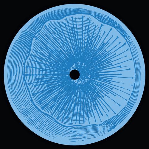 Cory James - Walls Of Avila (incl. Ruhig remix) - MOFF007