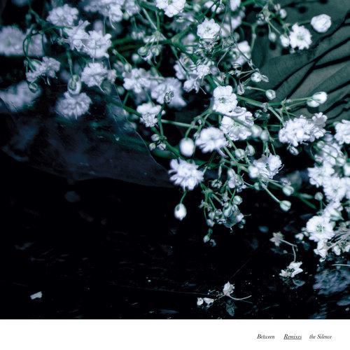 Lost Few - Between The Silence Remixes EP