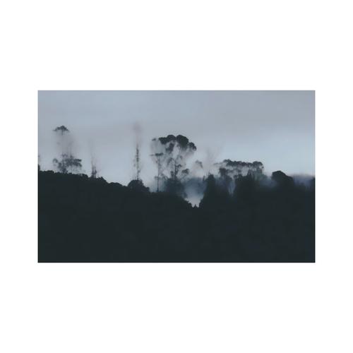 Migration