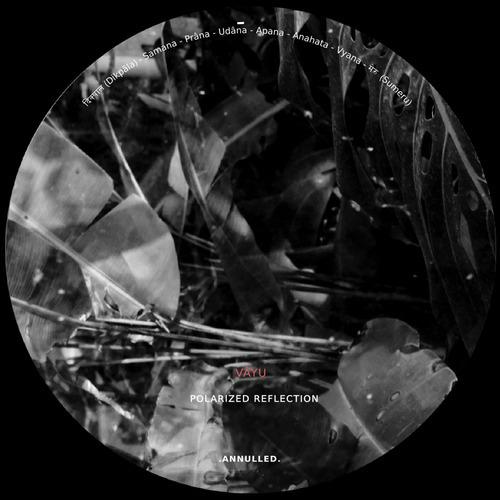CD-r Limited Edition | Polarized Reflection