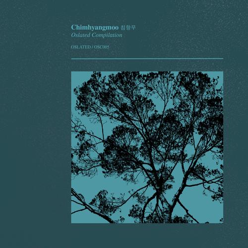 Digital album
