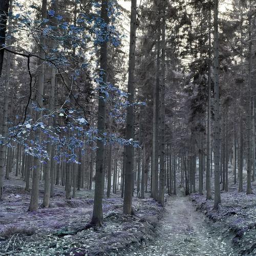 Fragments EP