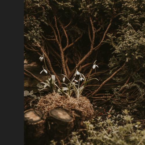 Digital album